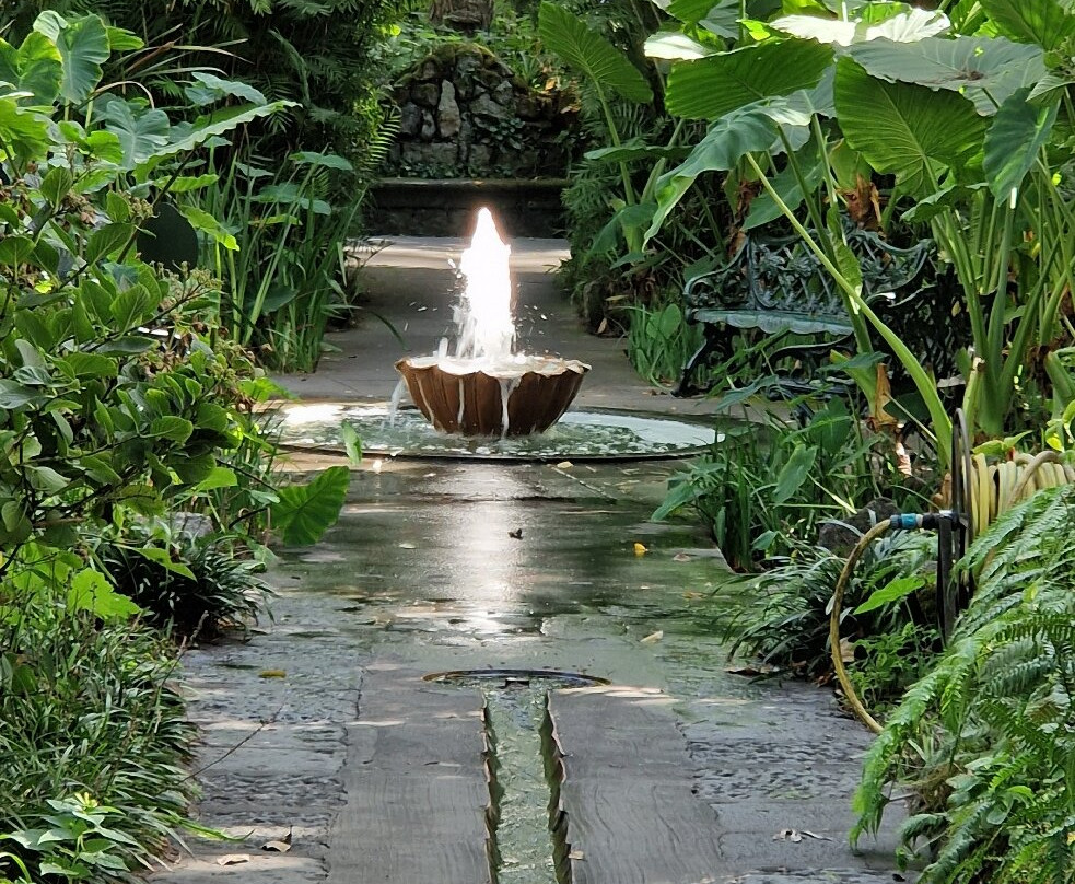 Giardini La Mortella-福里奥必去景点