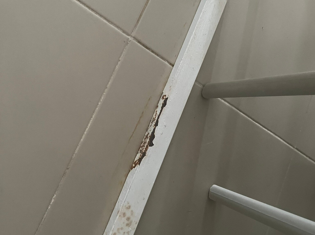 TUI BLUE Flamingo Beach主图