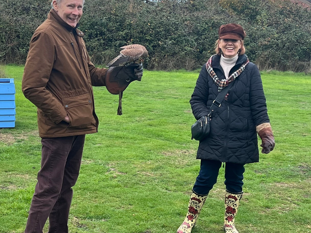 Feathers and Fur Falconry Centre-布拉克内尔必去景点