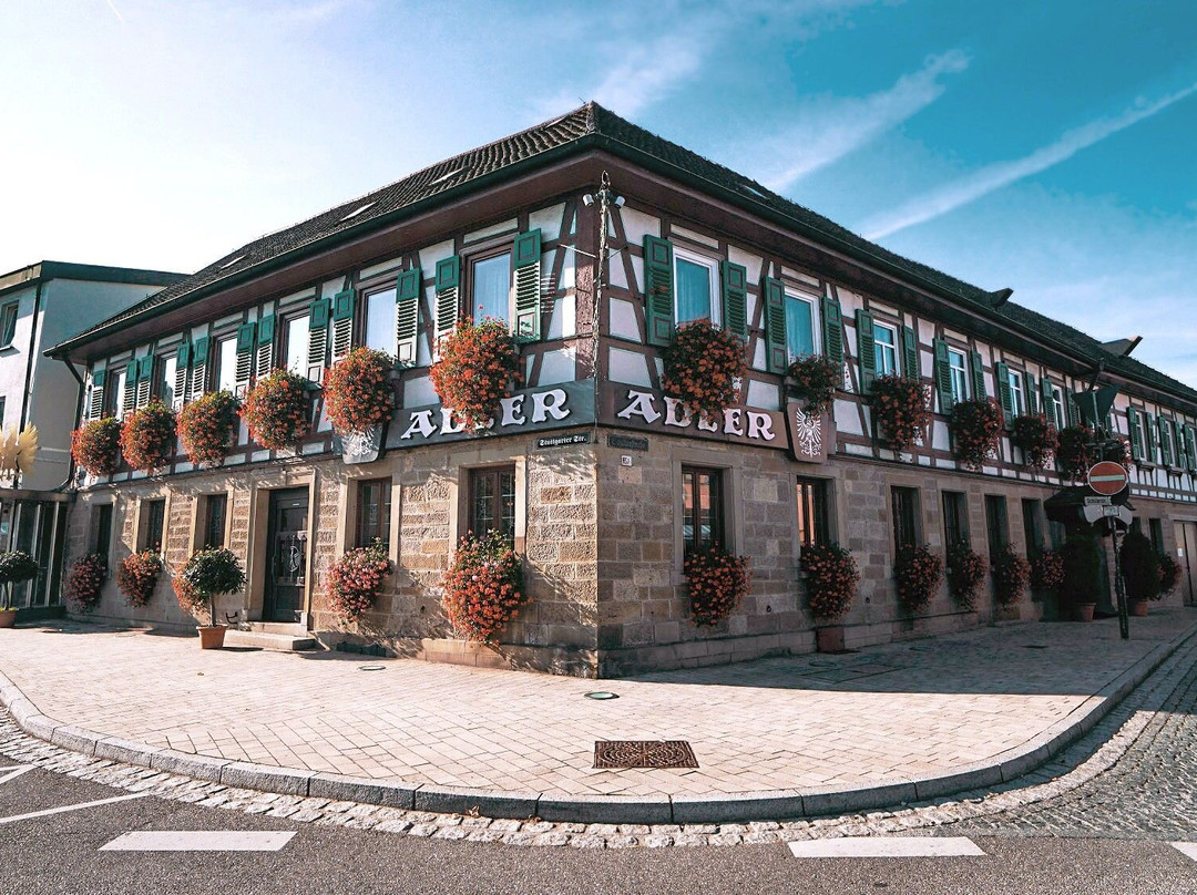 Hotel Adler Asperg主图