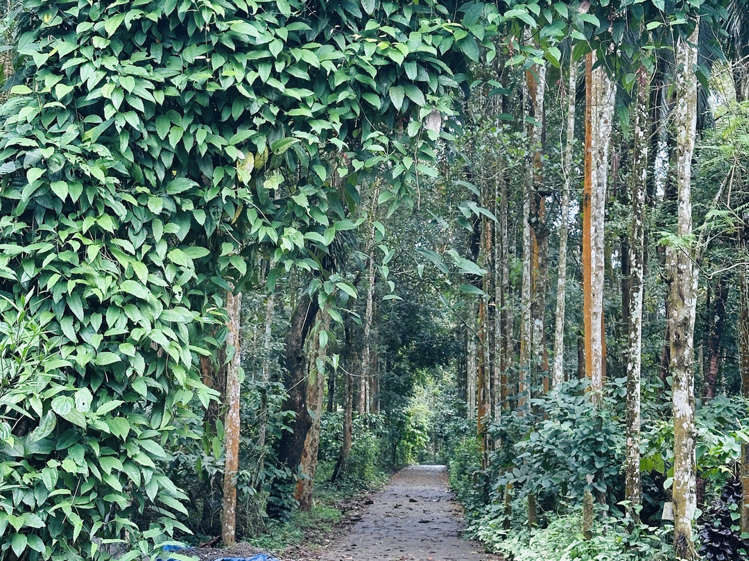 Enteveedu Homestay主图