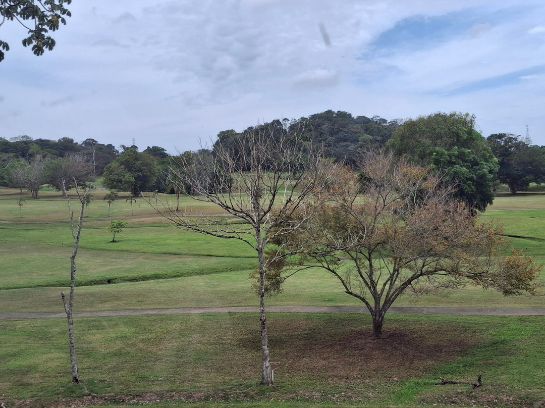 Panama Canal Railway-个郎必去景点