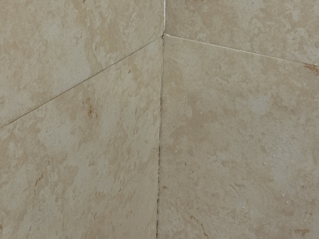 费斯塔客栈酒店主图