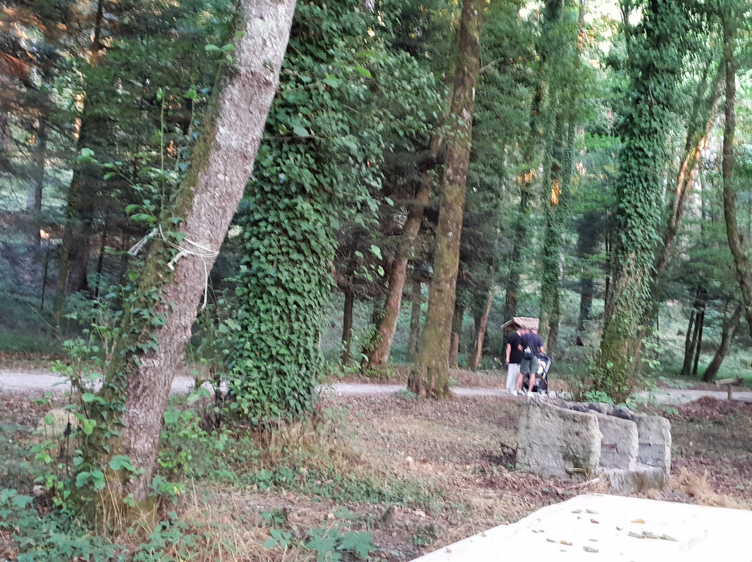 Museo della Certosa-Serra San Bruno必去景点