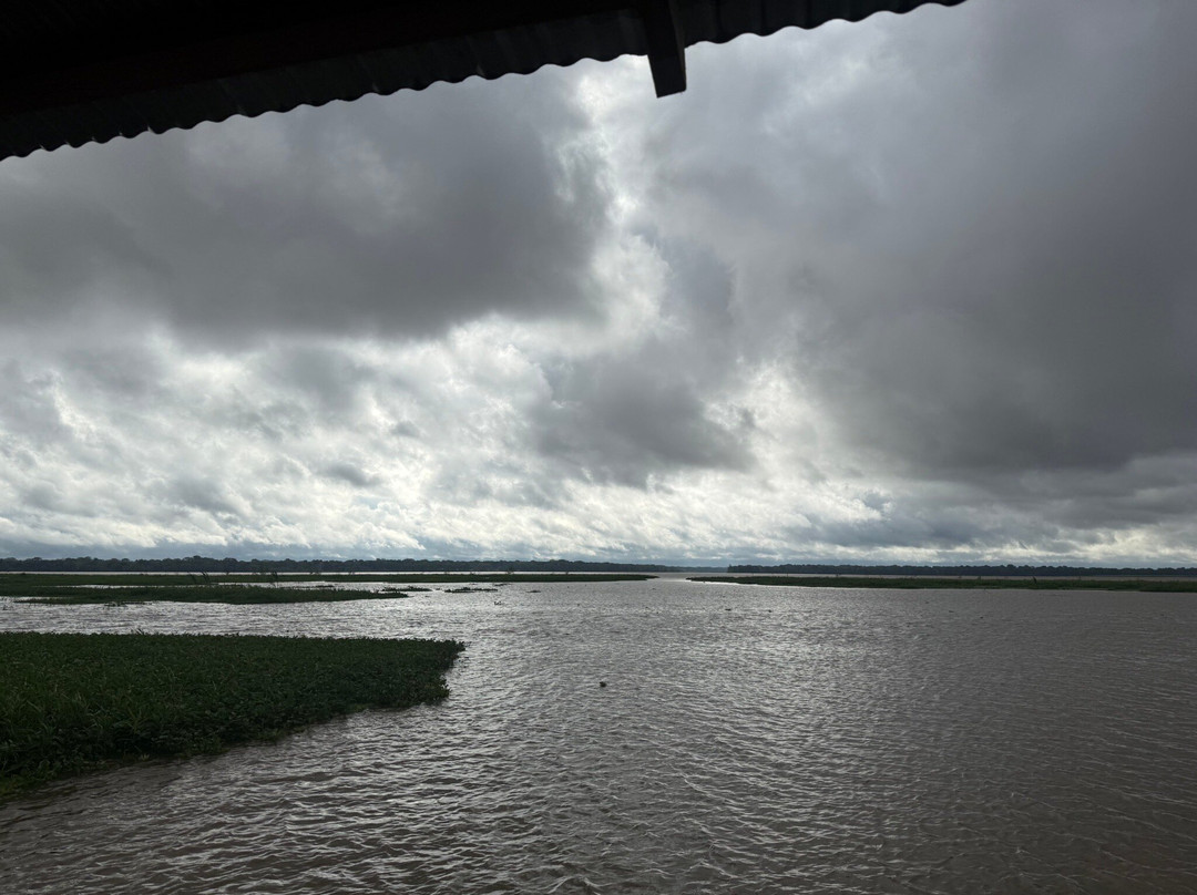 Amaselva Tours - Colombia Amazon-Puerto Narino必去景点