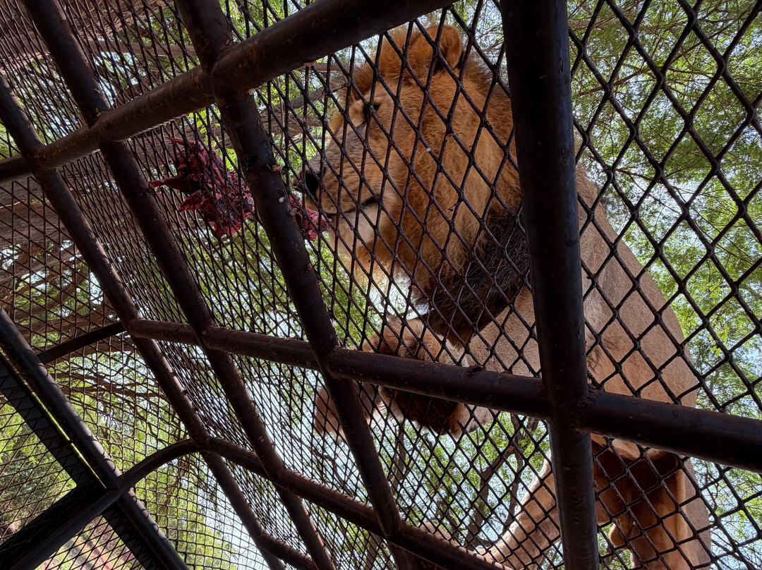 Malick Travel Senegal-Ponto必去景点