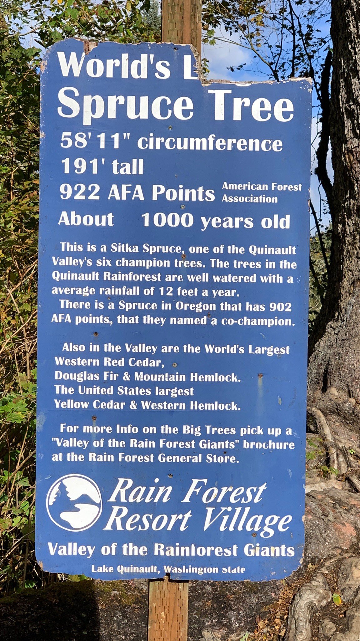 奎纳尔特湖别墅-官方