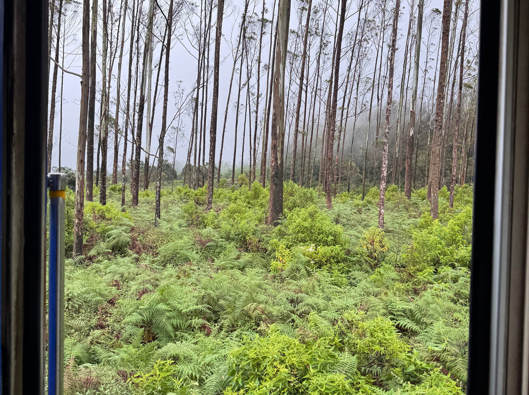 FineLankaTours-科伦坡必去景点