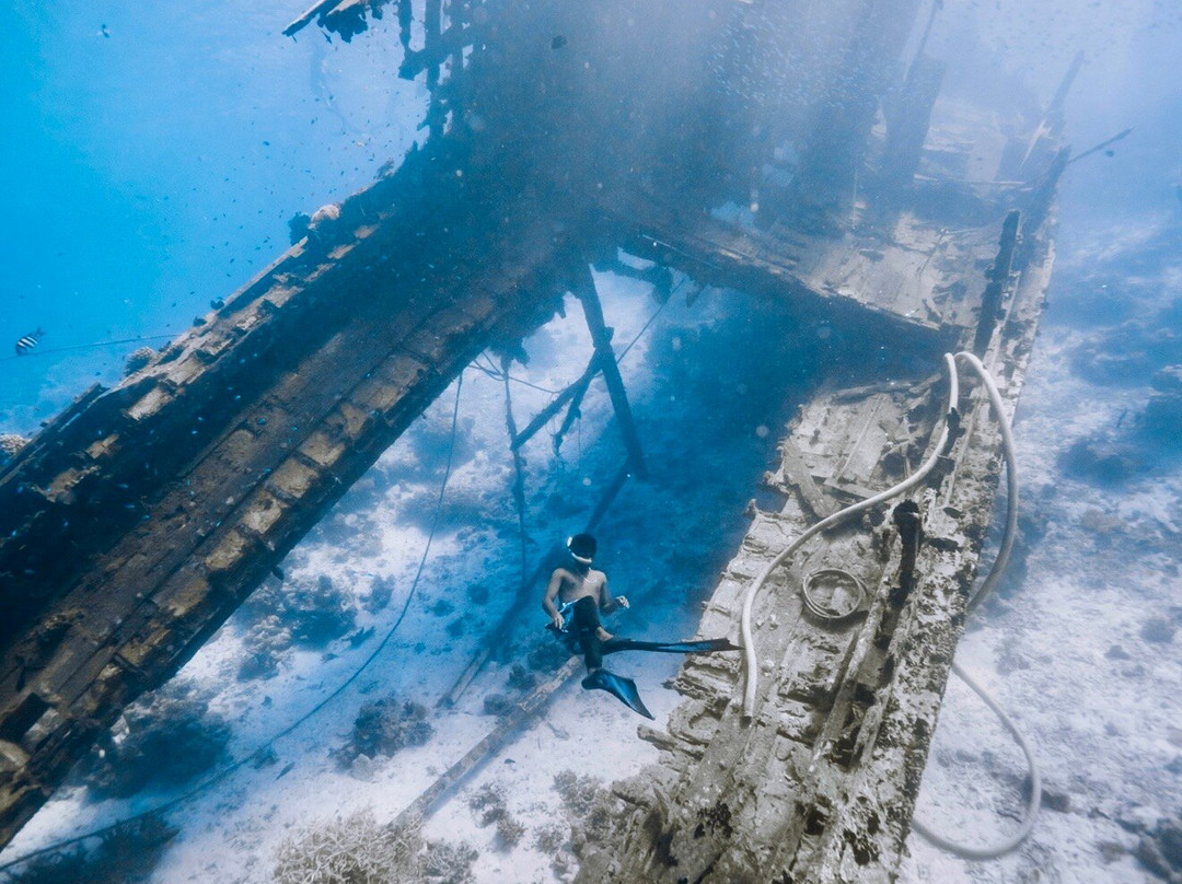 Blue Water Freediving School-伦敦必去景点