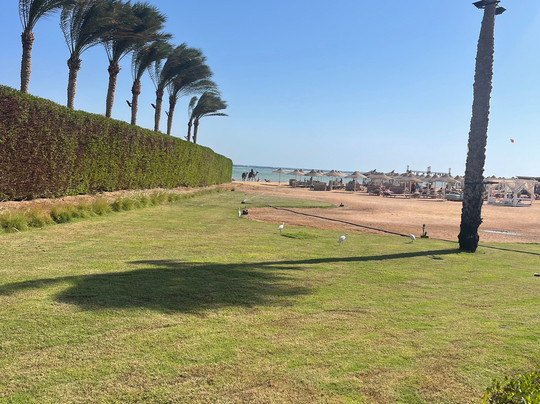 Amwaj hotel spa-纳布克湾必去景点