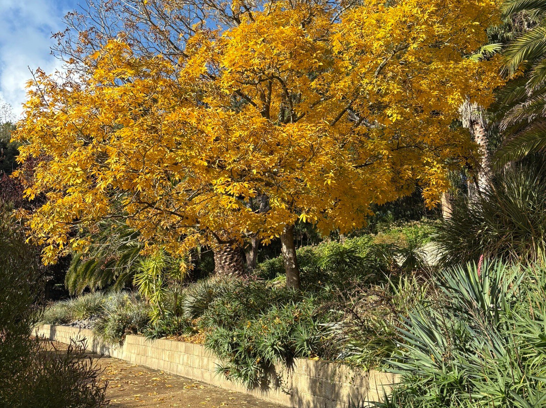 Ventnor Botanic Garden-文特诺必去景点