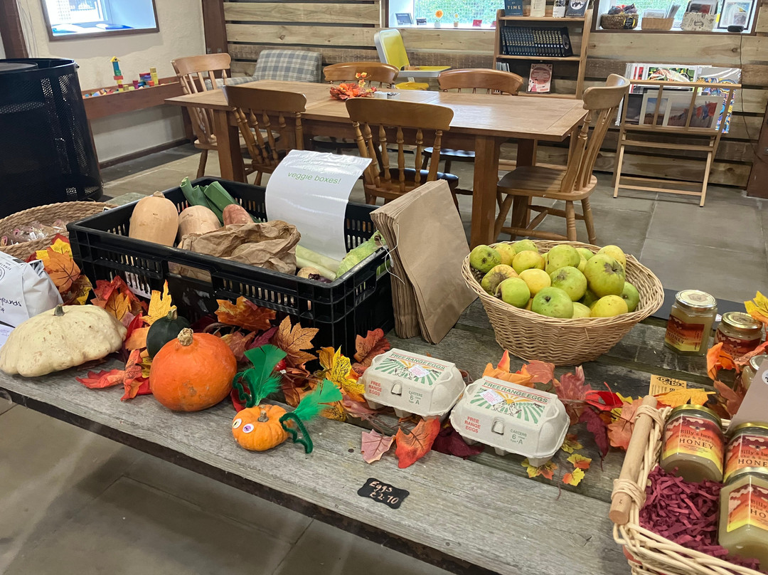 Romney Marsh Visitor Centre and Nature Reserve-New Romney必去景点