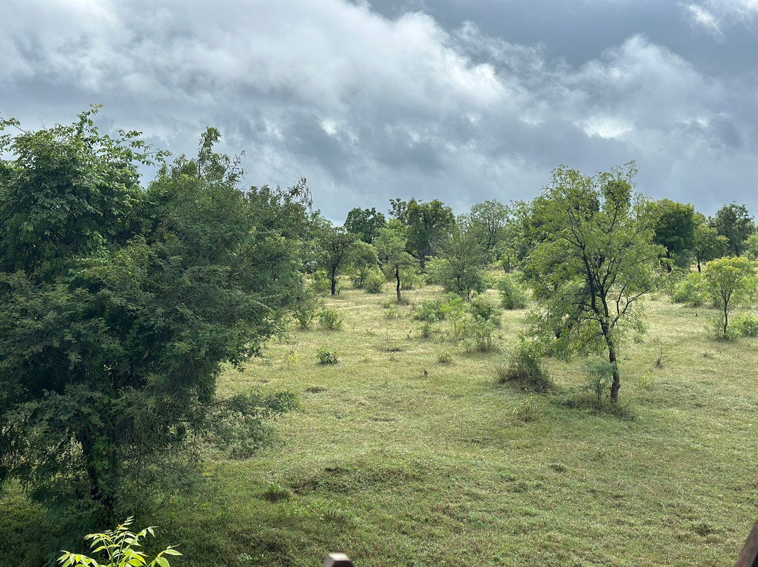 Bagh Kothi Wildlife Resort