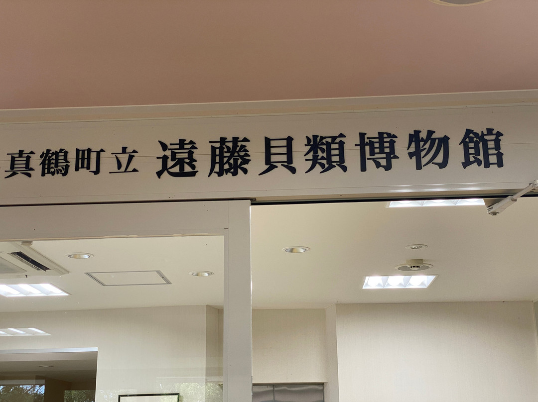 Manazuru Shell Museum-真鹤町必去景点