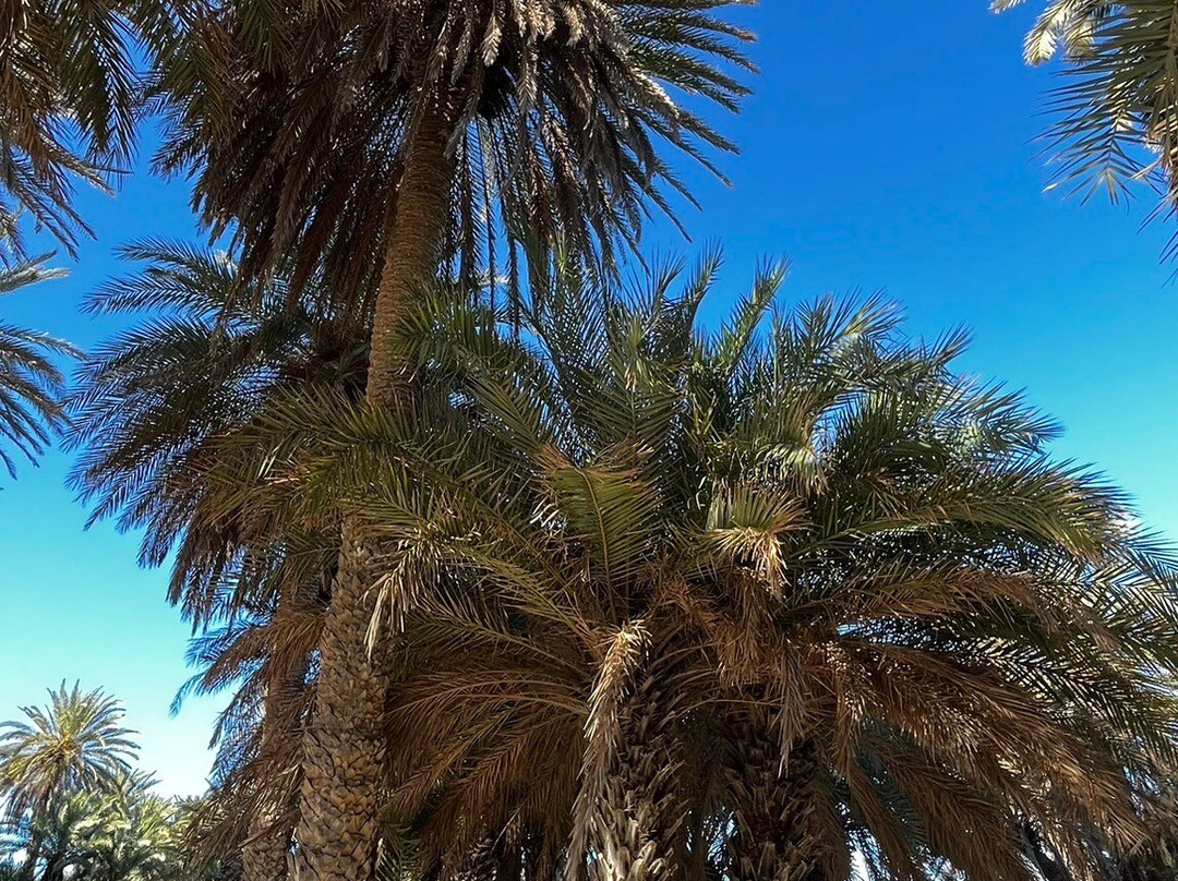 Vai Beach-Vai必去景点