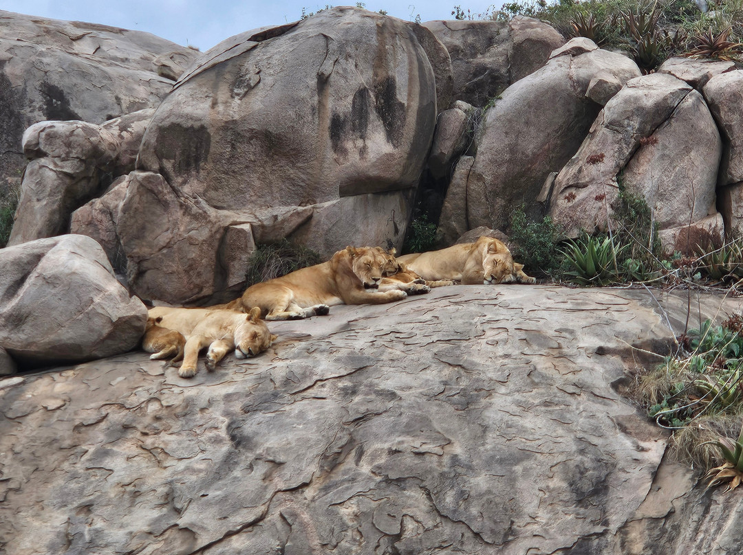 FB Tanzania Expeditions-阿鲁沙必去景点