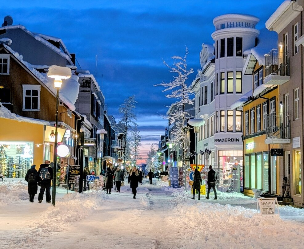 Iceland Personal Tours-雷克雅未克必去景点