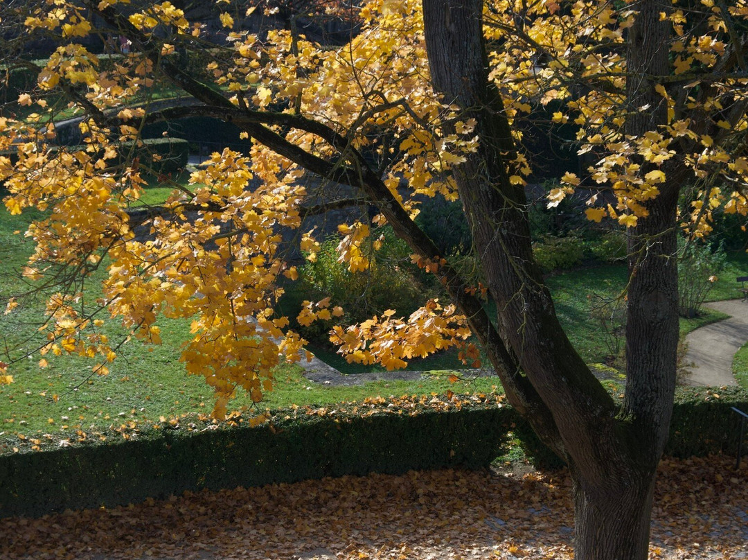 Der Hofgarten-维尔茨堡必去景点