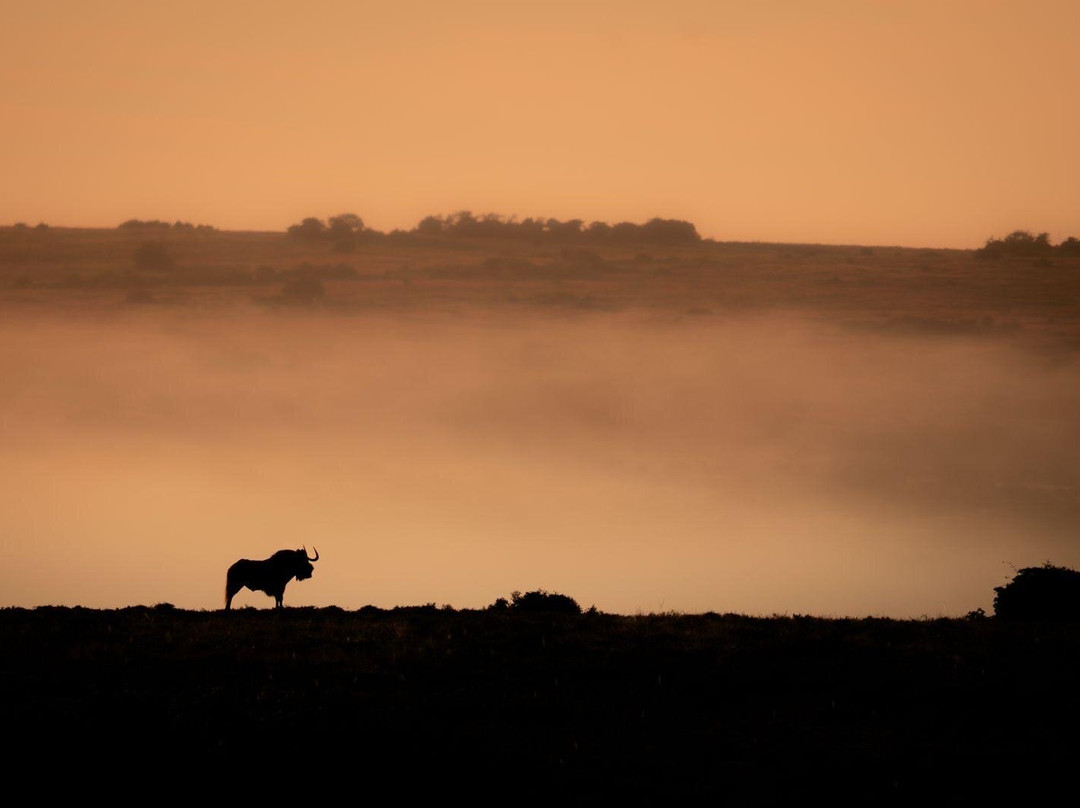 Unpaved Africa by SL-Green Point必去景点