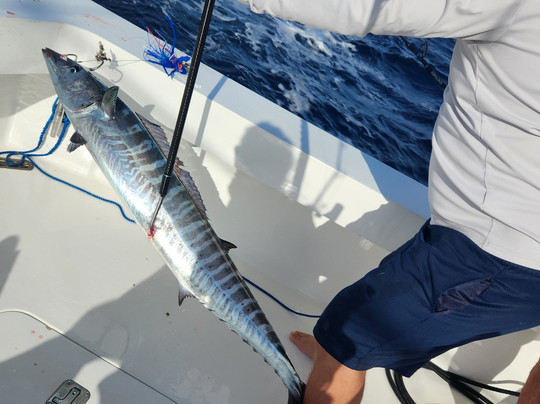 Get Bent Charters-乔治城必去景点