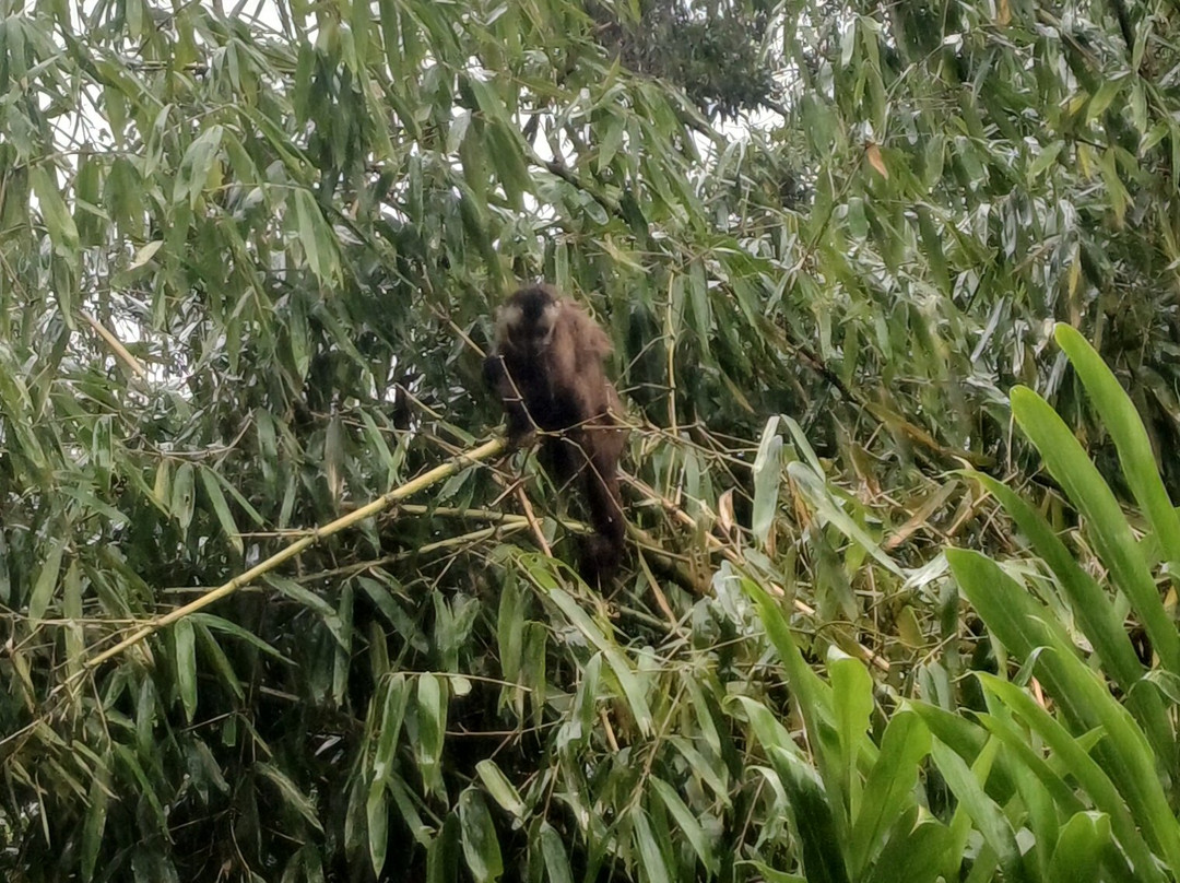 Inkamazonia Jungle Specialist-Manu必去景点