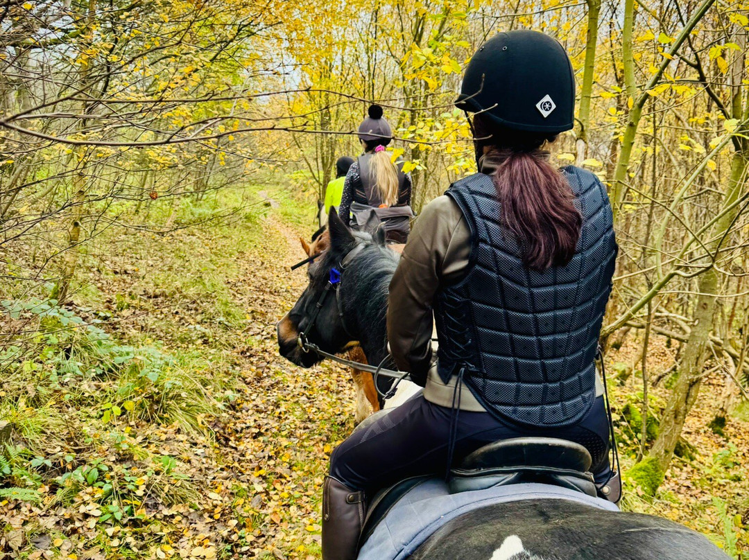 Boltby Pony Trekking-瑟斯克必去景点