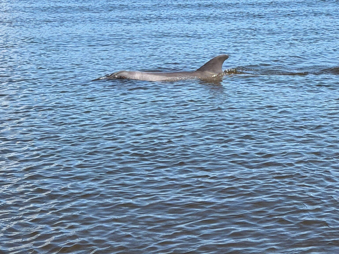 Airboat Adventure-巴拿马城海滩必去景点