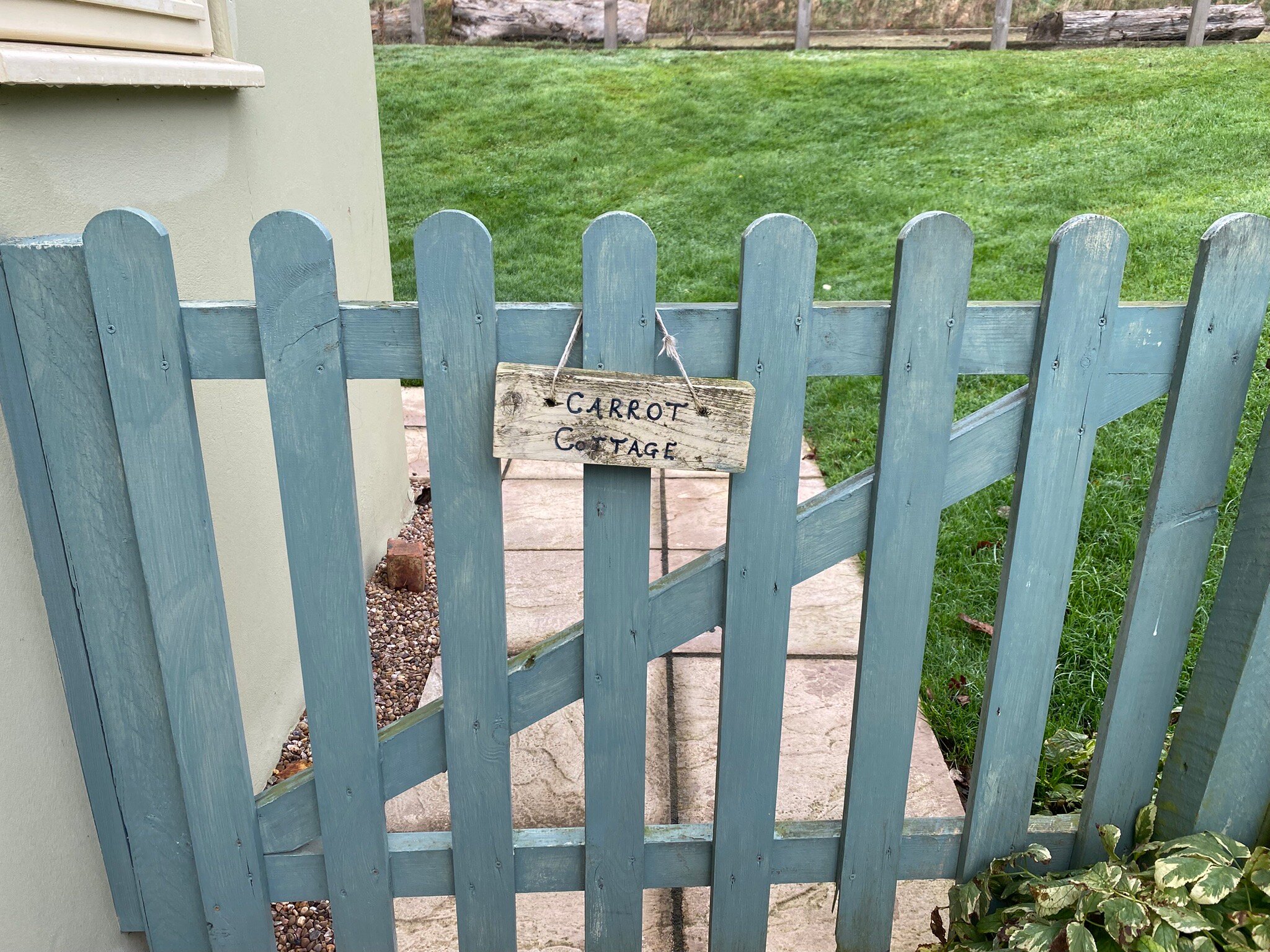 Broccoli Bottom-官方