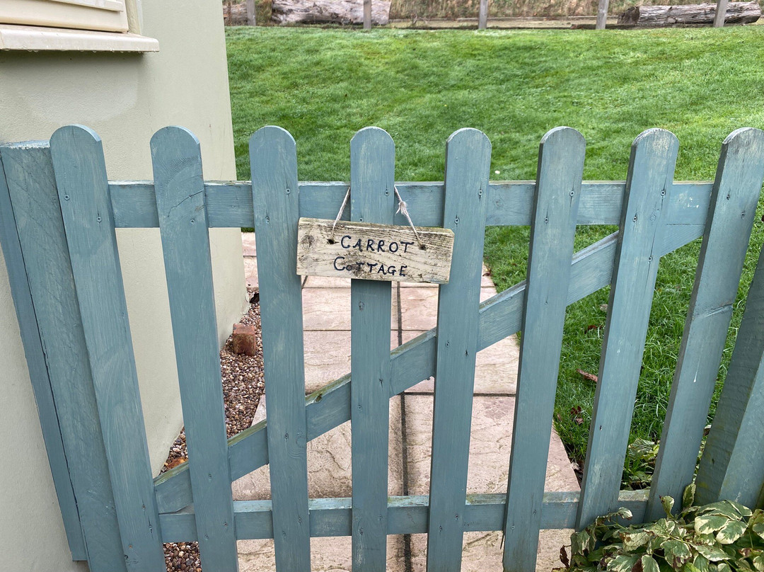 Broccoli Bottom主图