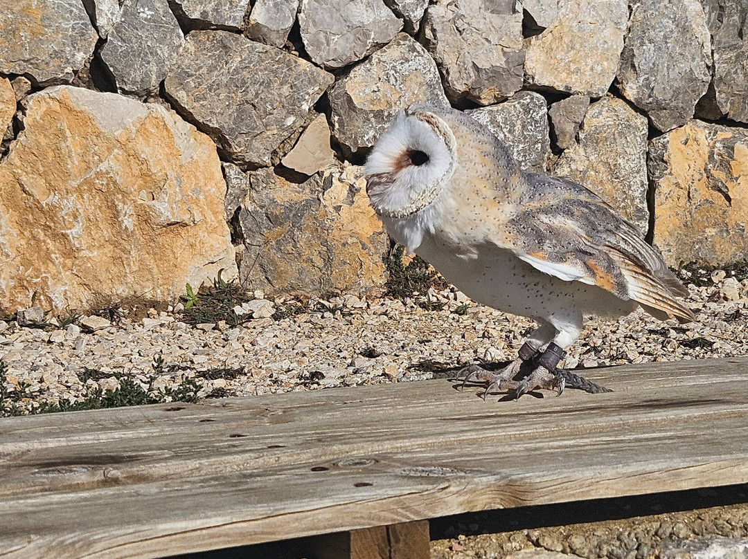 Zoo Del Pirineu-Oden必去景点