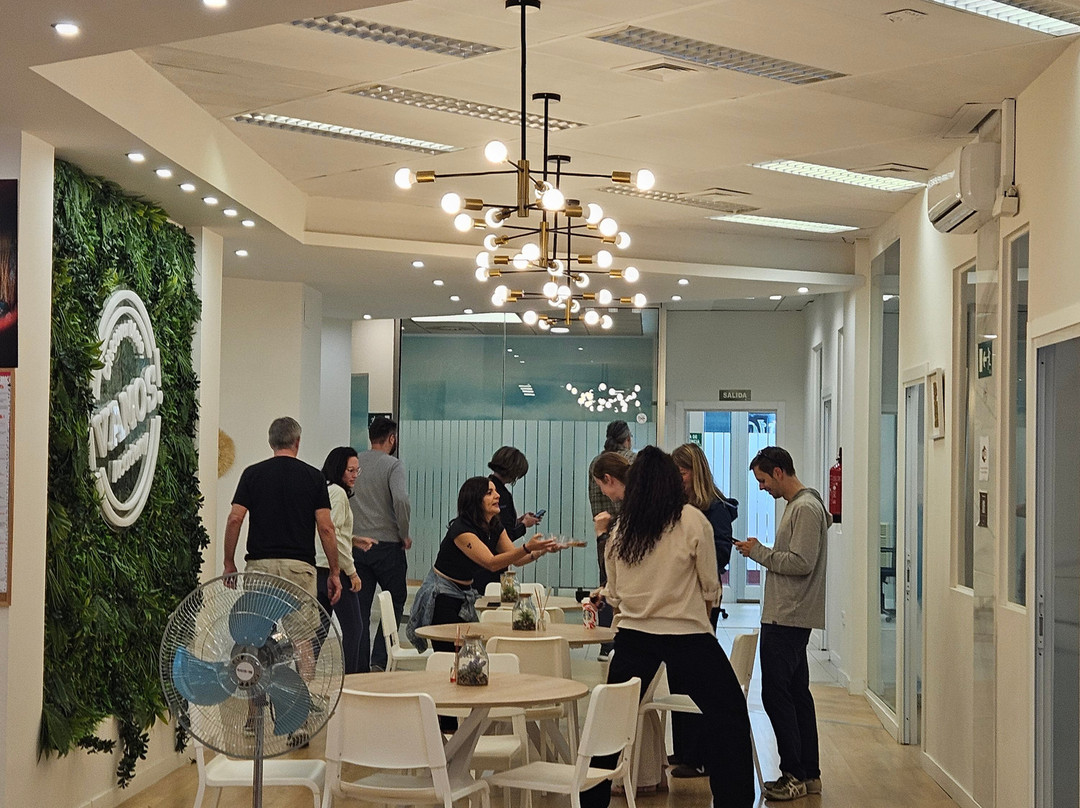 Vamos Academy Malaga-马拉加必去景点