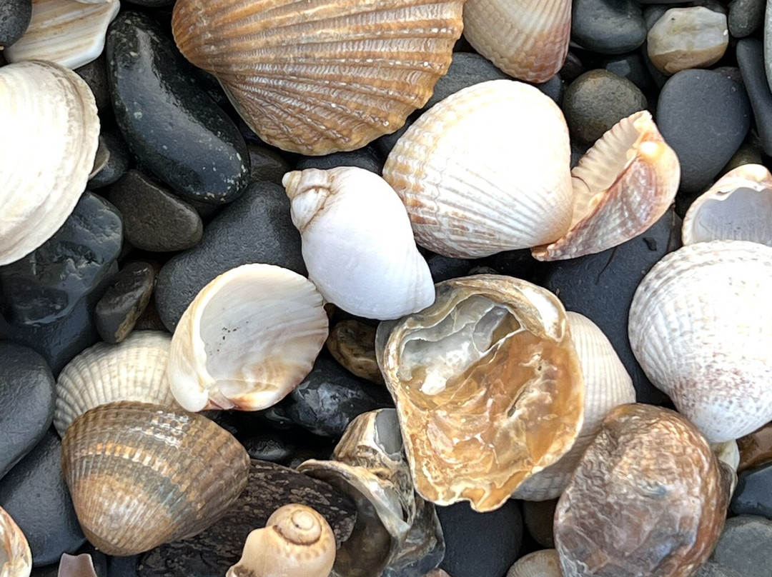 Tywyn Beach-Tywyn必去景点