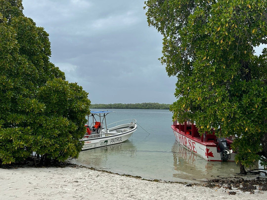 Escursioni Safari Kenya-瓦塔木必去景点