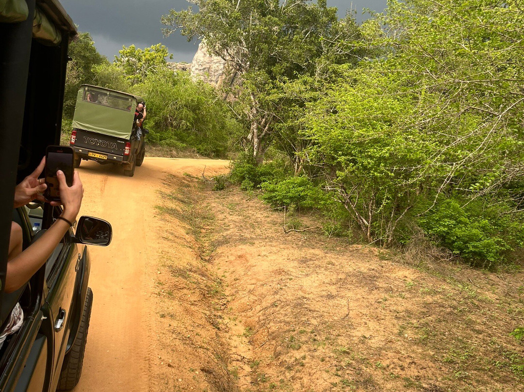 Ceylon Nature Tours-乌达瓦拉维国家公园必去景点