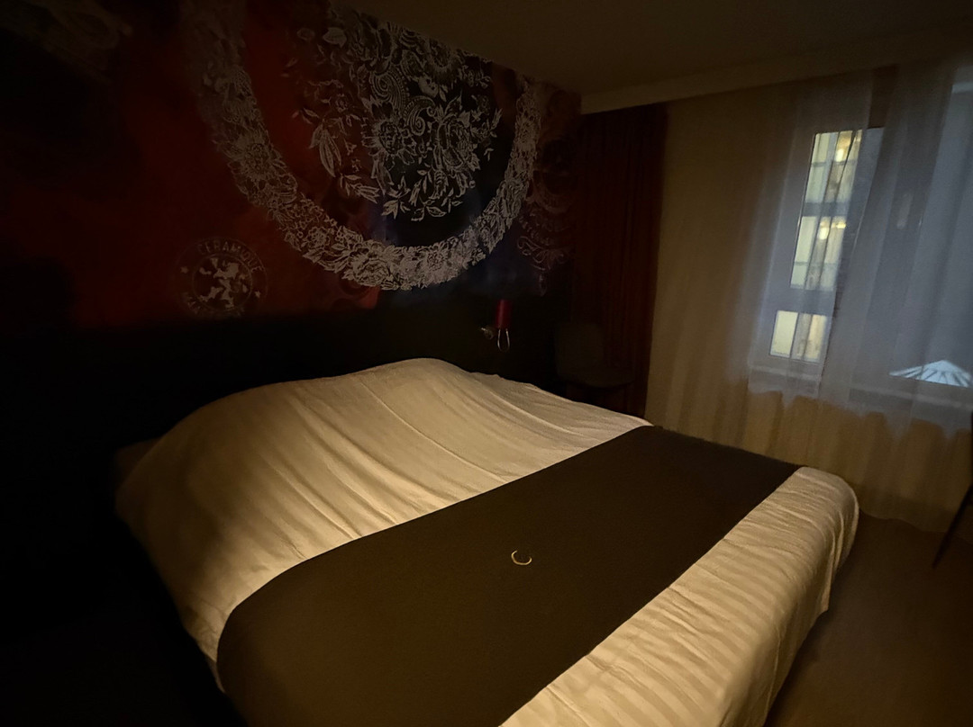 巴斯琛哥罗普酒店主图