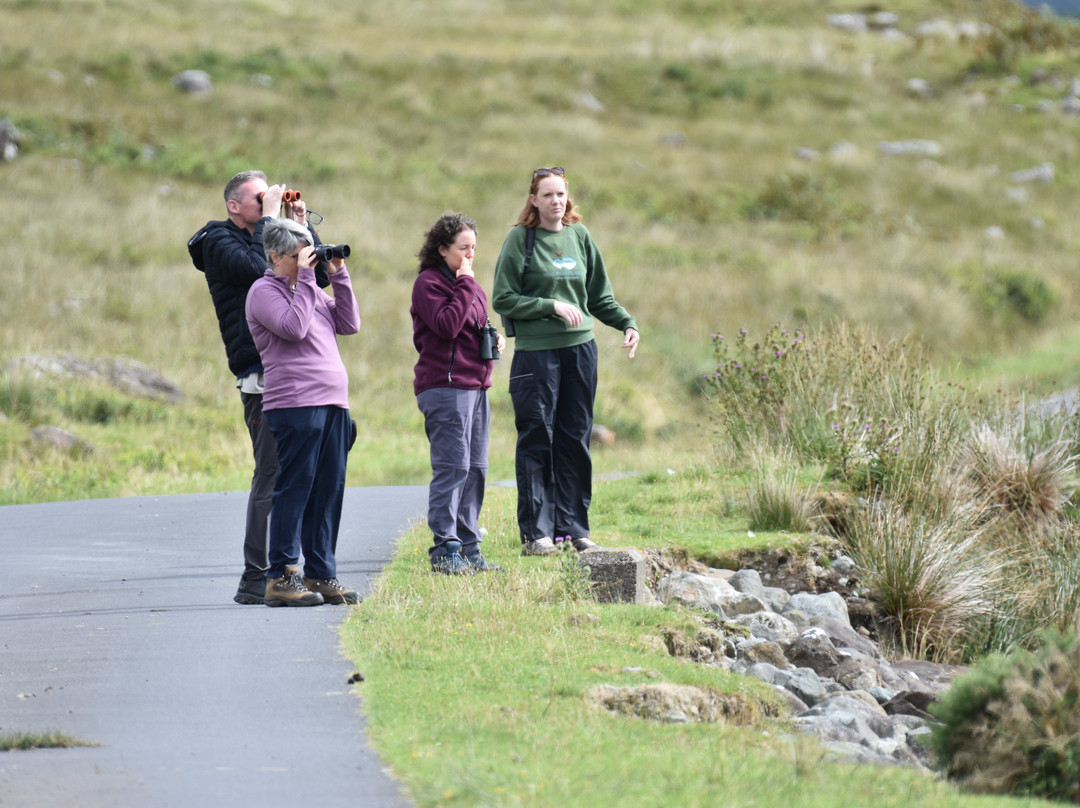 Mull Wildlife Breaks-Salen必去景点