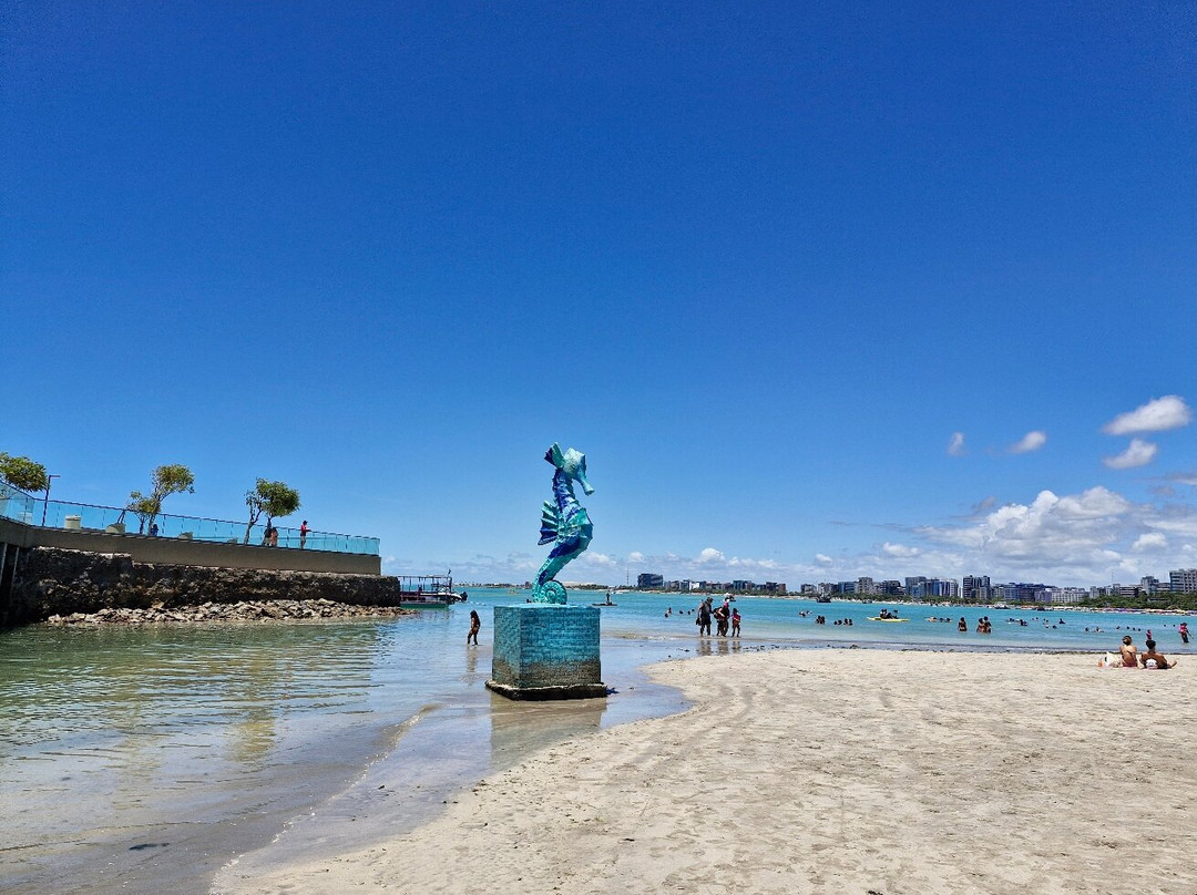 Marco Dos Corais-Maceio必去景点
