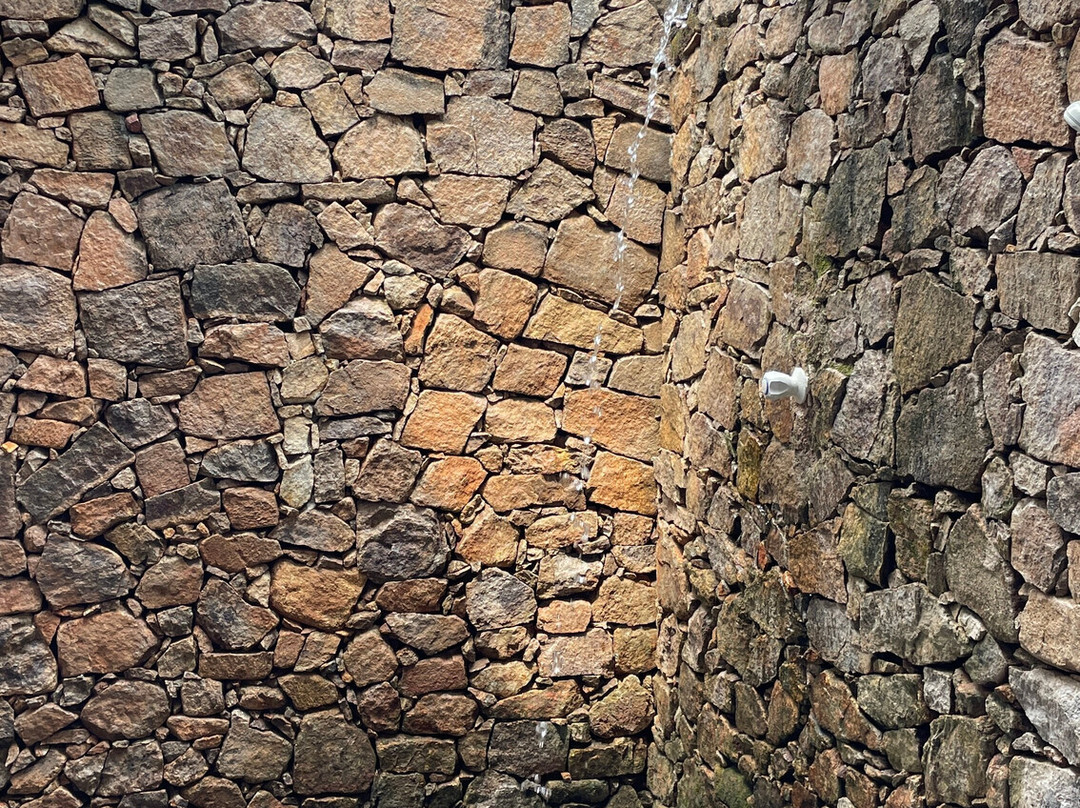 Mango Tree House主图