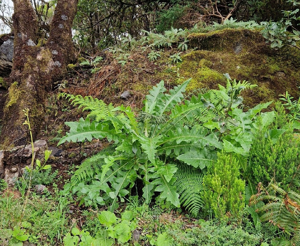 Timah-La Puntilla必去景点