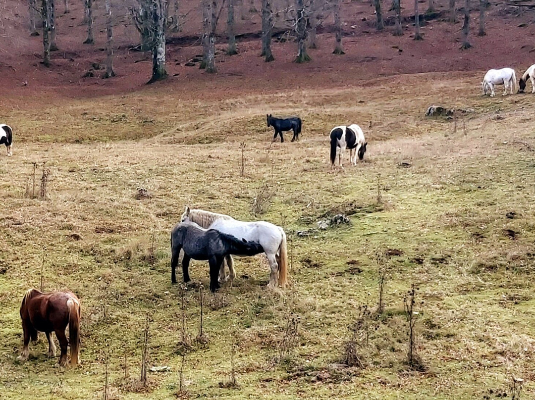 Campo dell'Osso-Subiaco必去景点