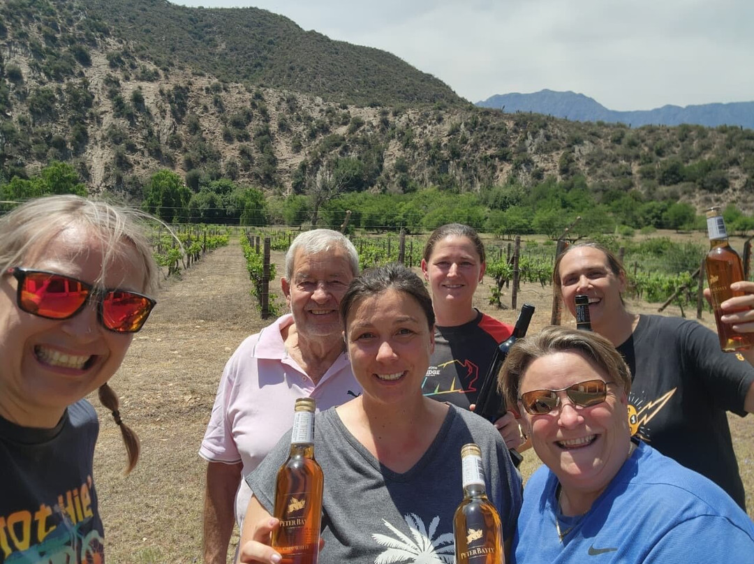 Peter Bayly Wines-Calitzdorp必去景点