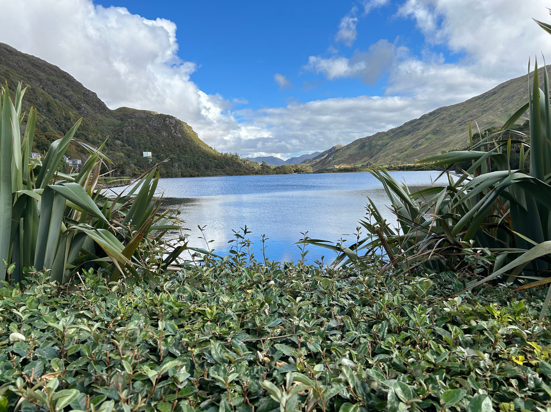 Vagabond Tours-都柏林必去景点