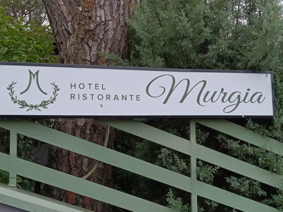 Hotel Murgia主图