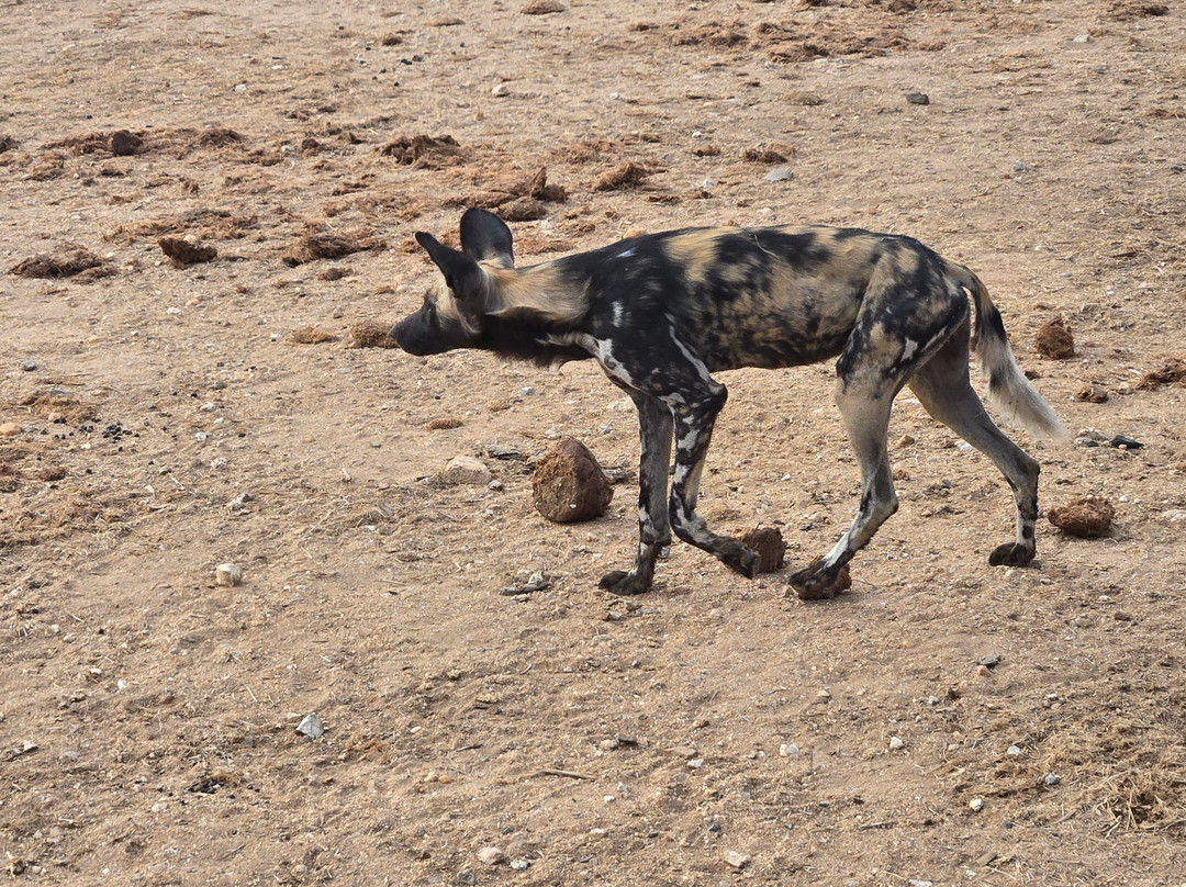 Moriti Private Safaris-克鲁格国家公园必去景点