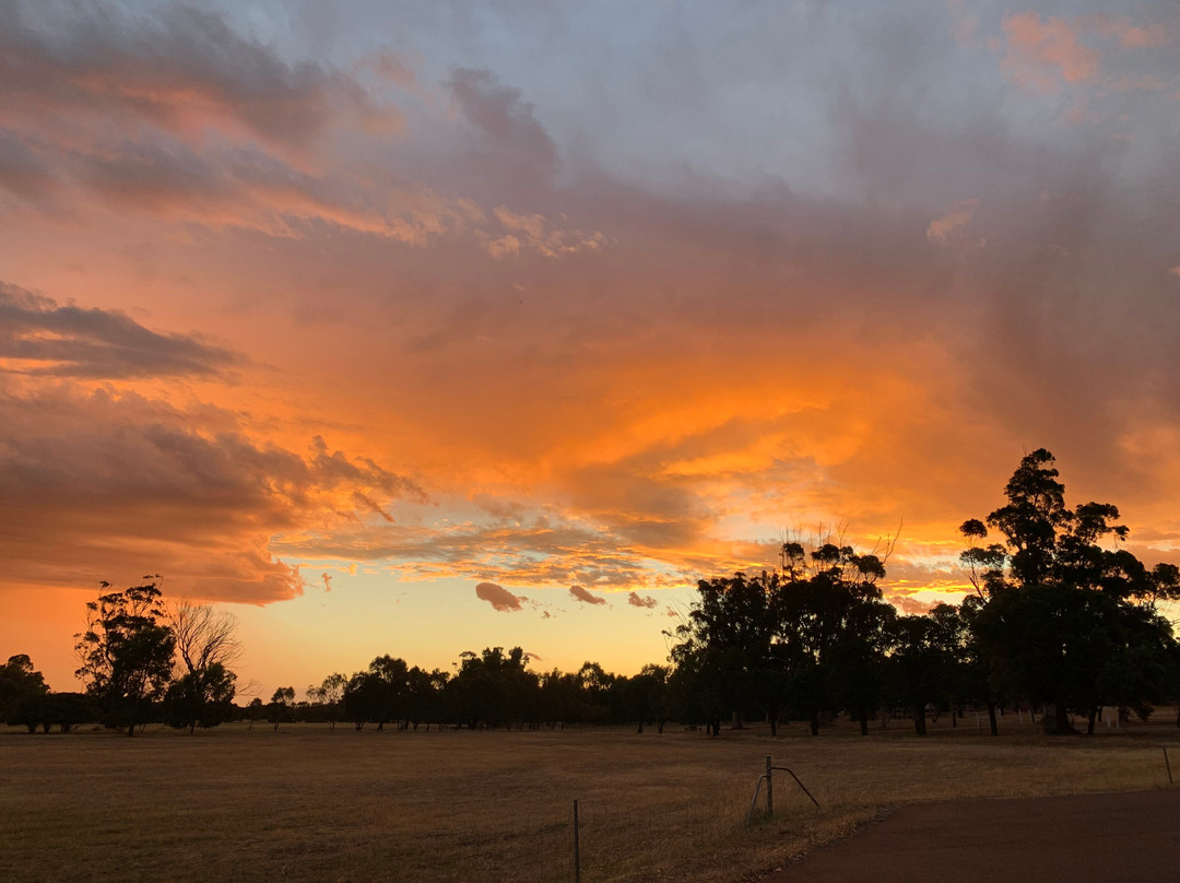 Benedictine Monastery of New Norcia-New Norcia必去景点