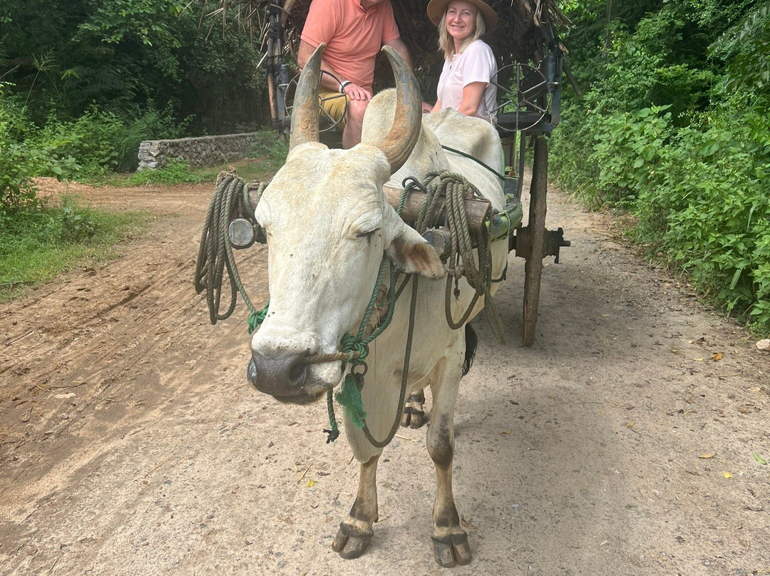 I and U Tours-Ganemulla必去景点