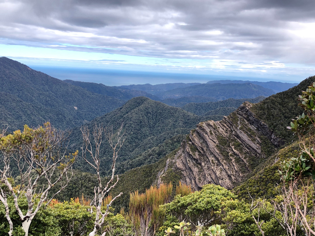 Paparoa Guided Walks-普纳凯基必去景点