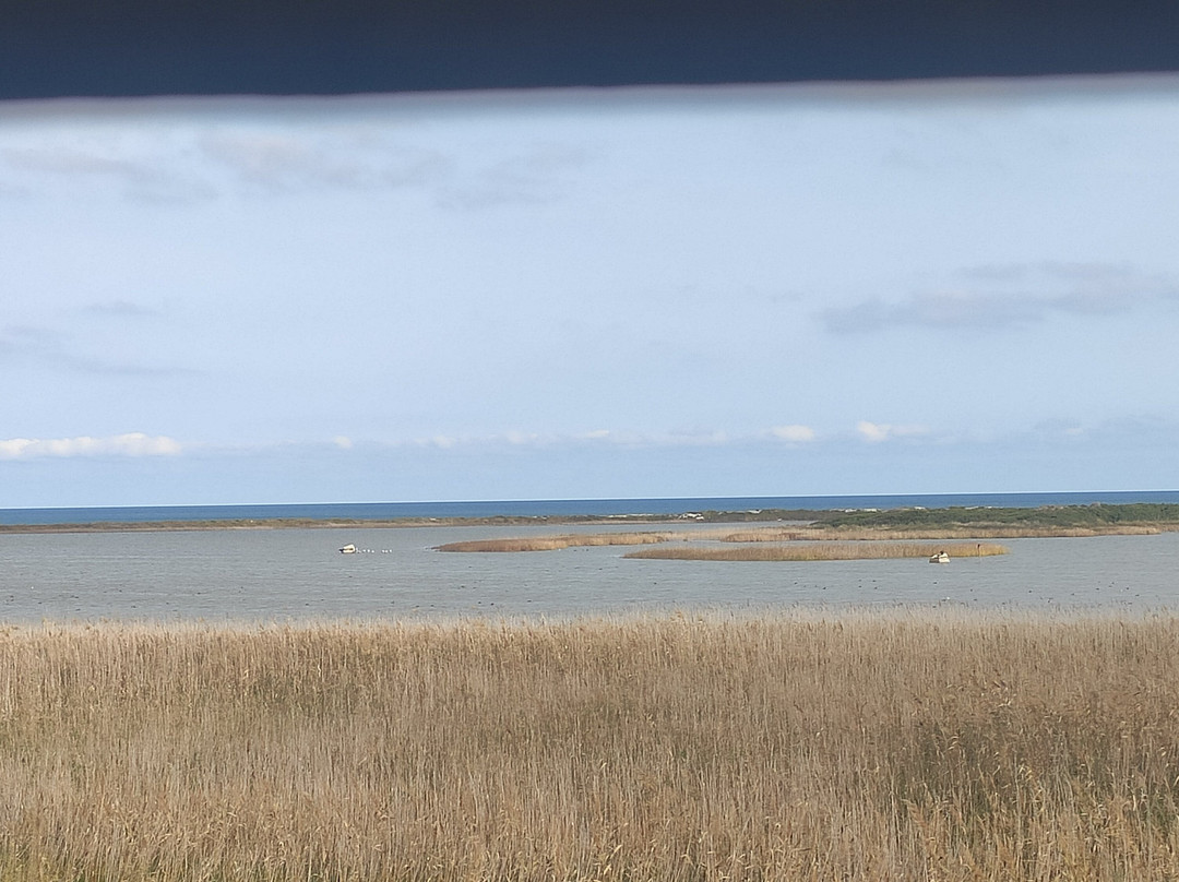 Riserva Naturale Le Cesine-Vernole必去景点