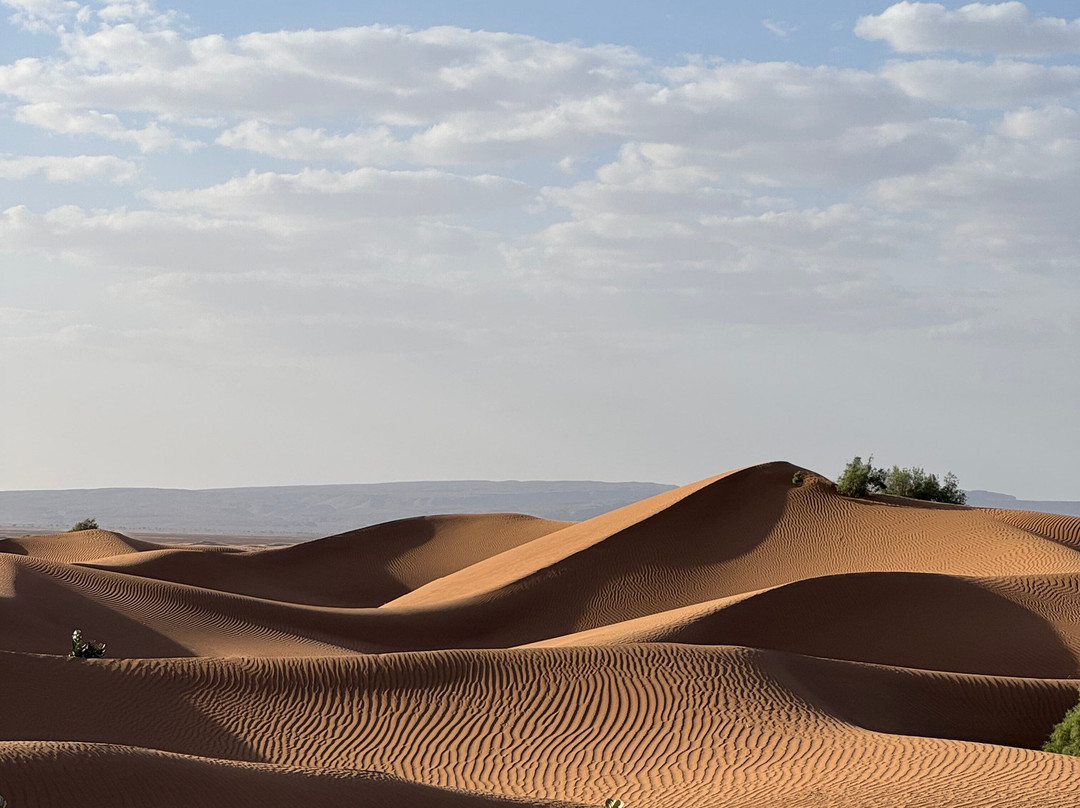Chegaga spirit-迈哈米德必去景点