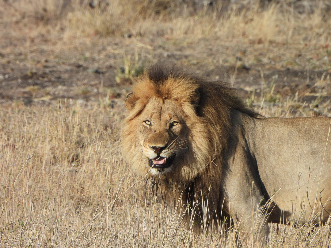 Khalanga Safaris-伐拉博瓦必去景点